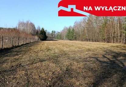 Działka budowlano-rolna 90 ar, krzywe.