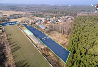 Działka usługowa/wręczyca wielka