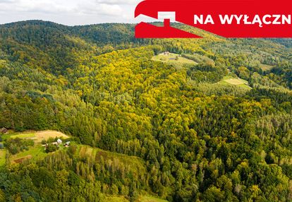 Działka rolno-leśna w jodłówce tuchowskiej