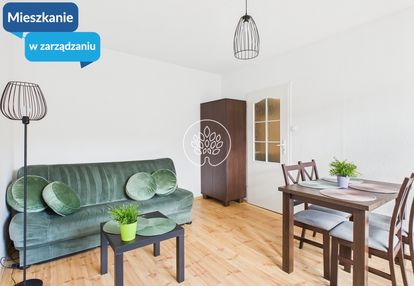 Mieszkanie 2 pokojowe na wynajem.