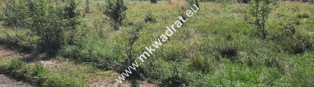 Ostatnia z podziału dobra lokalizacja