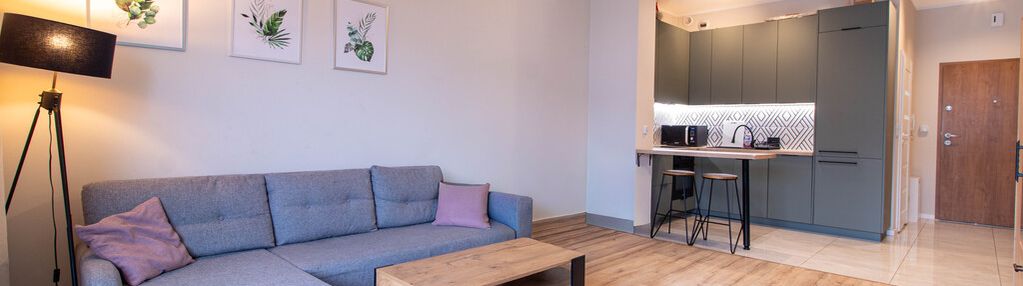 Przestronne studio, 34m2, zawodzie pętla, uek