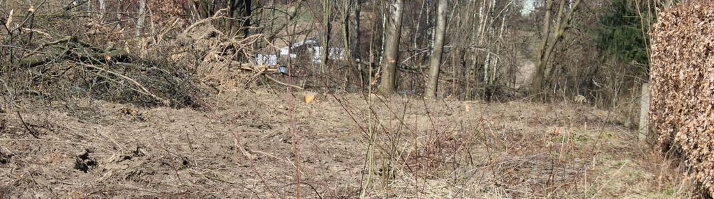 Działka budowlana 8 ,4 ara - blisko media