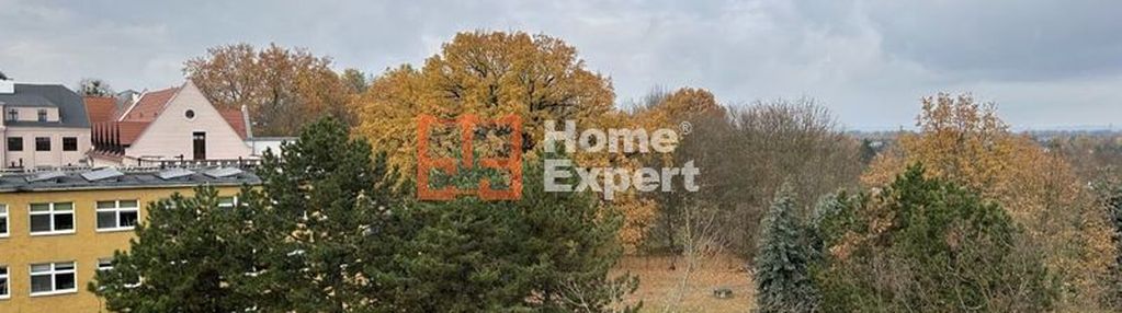 Okolice ul. krzyżanowickiej