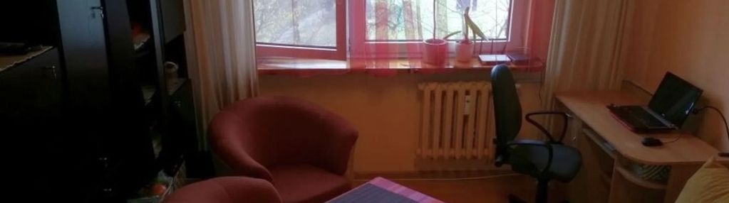 Kawalerka na włochach