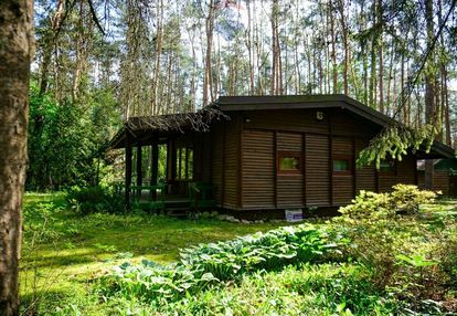 Leśna działka 2100 m² z domkiem | radziejowice