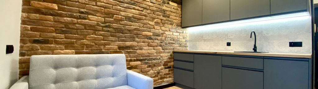 Loft-kawalerka na wynajem katowice, 5min do rynku