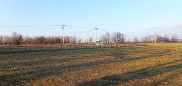 Duża działka budowlana na wsi.