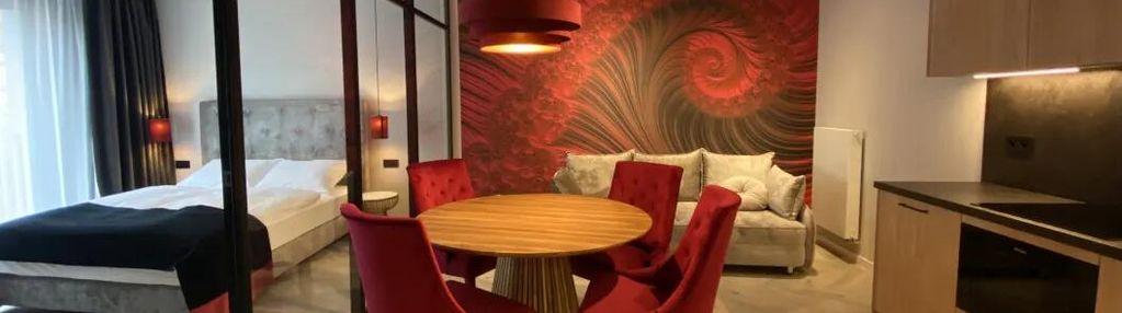Apartament inwestycyjny - gotowy do zarabiania.