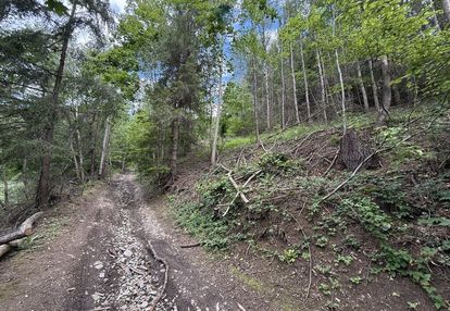 Nieruchomość gruntowa z własnym lasem