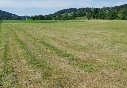 Działka rolno-budowlana 78a w miejscowości stronie