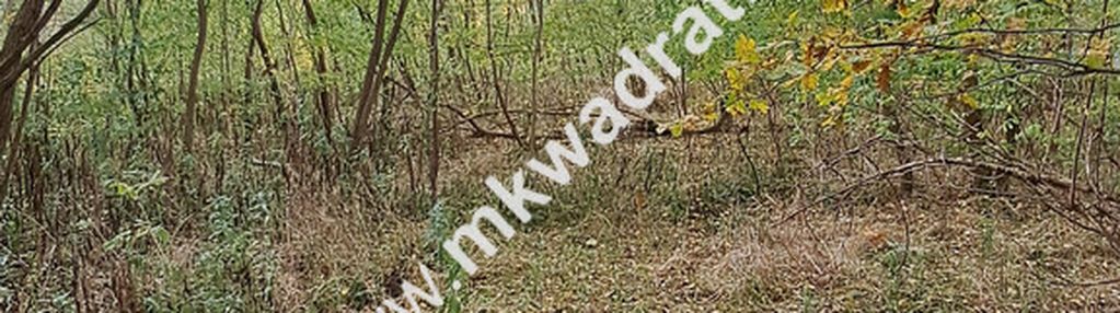 ⭐⭐⭐⭐⭐ super - budowlana 1000m2 pod kampinosem