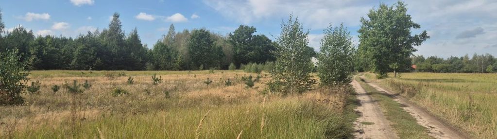 Działka przy kampinowskim parku narodowym