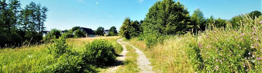 Działka inwestycyjna | 3 projekty chłonności pum