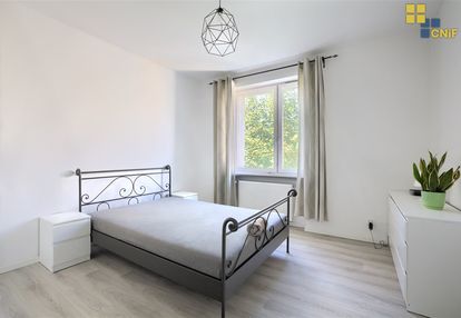 Do wynajęcia przytulne m-3 w śródmieściu