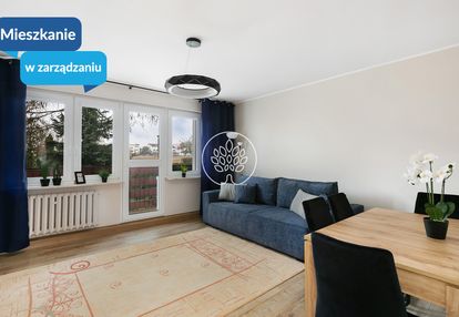 Na wynajem dwupokojowe mieszkanie ul. hoffmana.