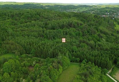 Na sprzedaż działka leśna (las)
