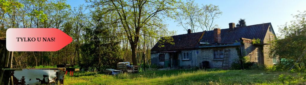 Siedlisko w pięknej okolicy pod bydgoszczą!