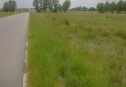 Działka z warunkami zabudowy , hale, magazyny