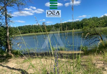 Z linią brzegową-krajeński park krajobrazowy