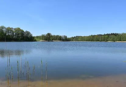 Działka na sprzedaż 3100m2