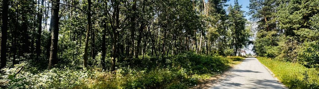 Działka 3000 m2 pod zabudowę mieszkalną