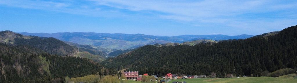 Piwniczna sucha dolina dom drewniany na 2821 m2
