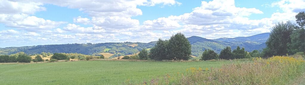 Widokowe, słoneczne działki w niedźwiedzicy
