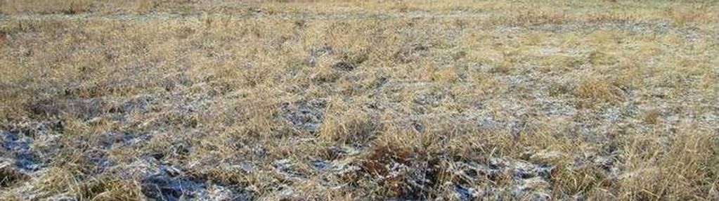 Działka rolna 12.9a, boguchwała