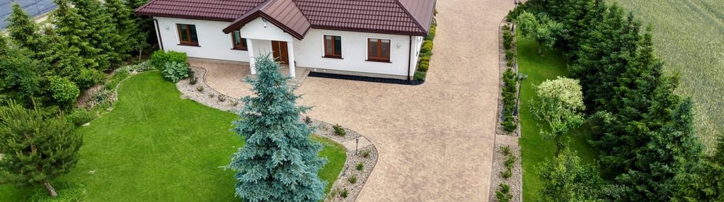 Dom z plantacją borówki – kolonia domaszewnica