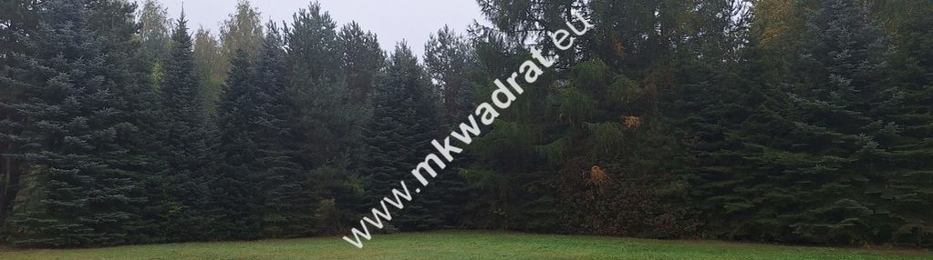 Ładna działka w otulinie lasu