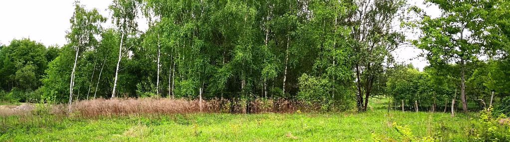 Bardzo klimatyczna, ciekawa okolica