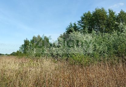 Działka 17 kilometrów od centrum warszawy