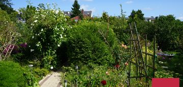 Dom z funkcją mieszkalną + apartamenty i pokoje