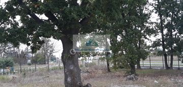 Skalnicowa 730m2. budowlana