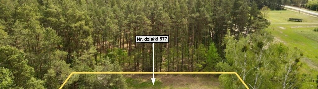 Cisza, spokój i otulina lasu-być może tego szukasz