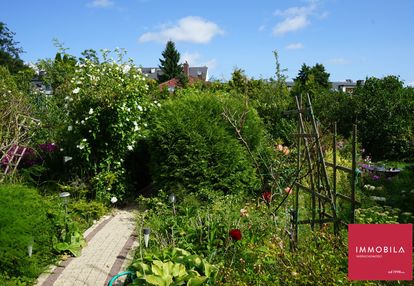Dom z funkcją mieszkalną + apartamenty i pokoje