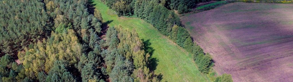 Działki budowlane pod nowym tomyślem