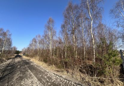 Atrakcyjna działka w ołużnej z warunkami zabudowy