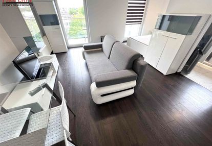 Apartament - salon z aneksem sypialnym, kuchnia