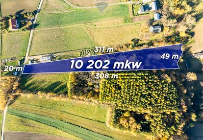 Działka z bijącym źródłem i kawałkiem lasu