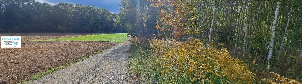 Nowa niższa cena! działka w otoczeniu lasu!