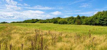 5 ha w sercu wysoczyzny elbląskiej – ogrodniki