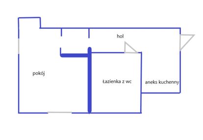 Kawalerka 22,5m2 w sercu powiśla! do remontu.