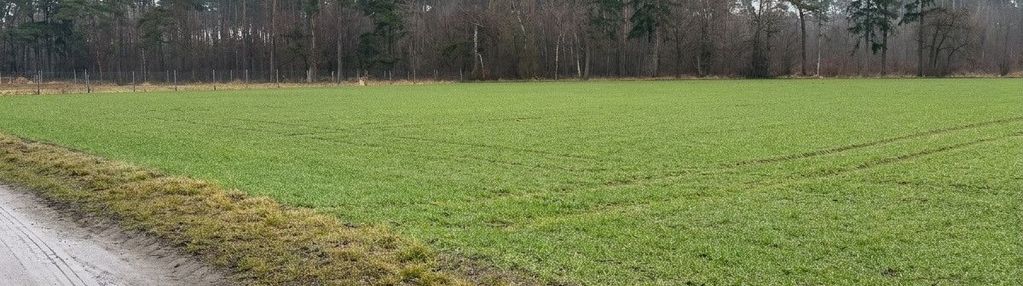 Działka 2162 m² pod dom przy lesie | wz |
