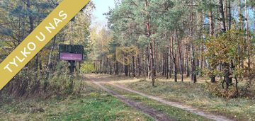 Wólka znakomita działka przy kampinosie 3000 m2