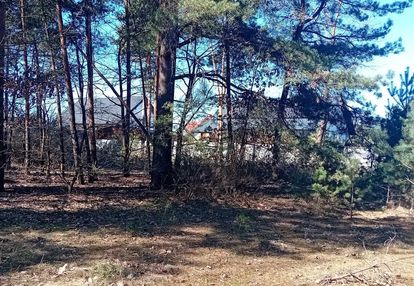 Nieruchomość nad zalewem z prywatnym lasem!