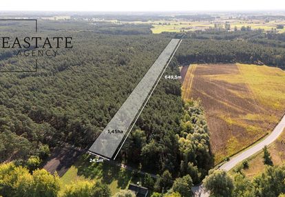Działka leśna / natura 2000