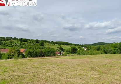 Skrajna działka pod lasem
