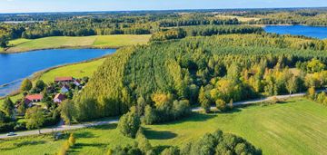 Własny las w sercu mazur w pobliżu jeziora